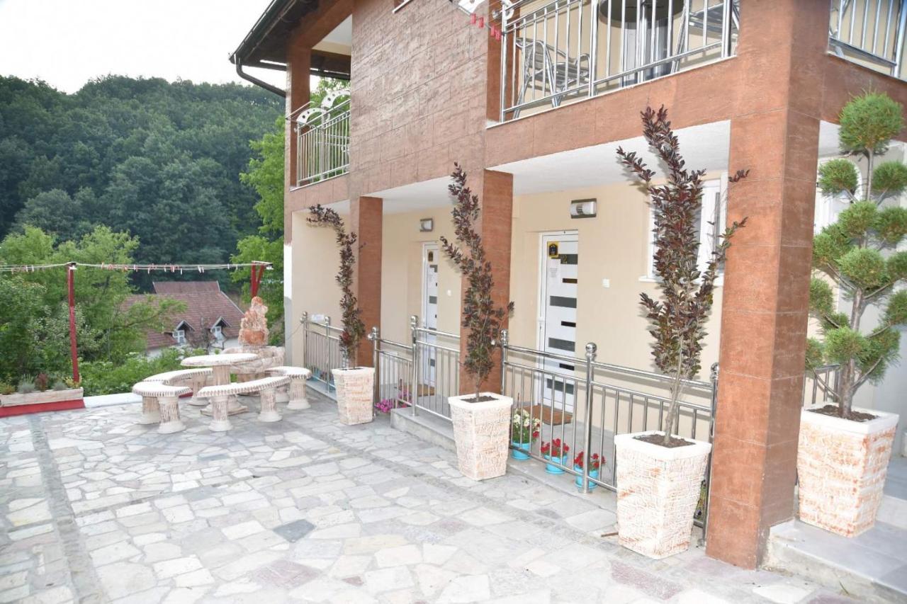 Vila Lux Nedeljkovic Gornja Trepca Čačak Eksteriør bilde